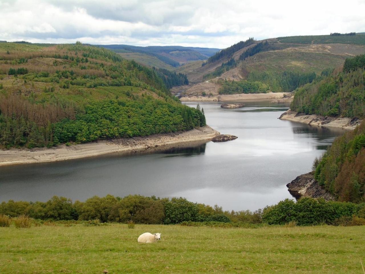 Pwllgwilym B & B Builth Wells Zewnętrze zdjęcie