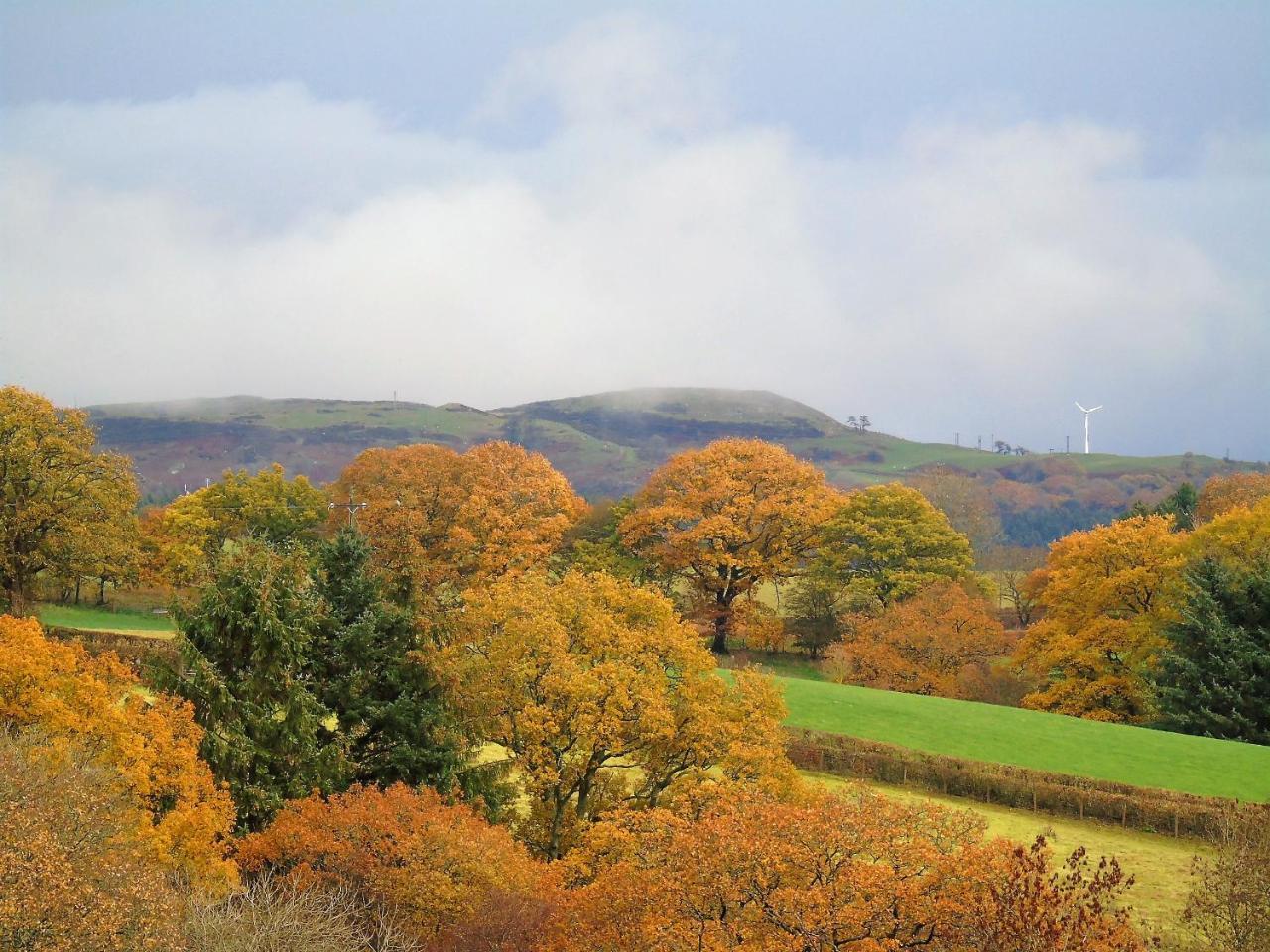 Pwllgwilym B & B Builth Wells Zewnętrze zdjęcie